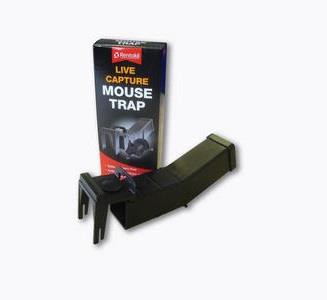Mouse Live Trap with Captured Mouse, Outdoors Stock Photo - Image